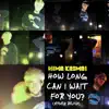 Nima Kasmai - How Long Can I Wait for You? (Vibez Remix) - Single